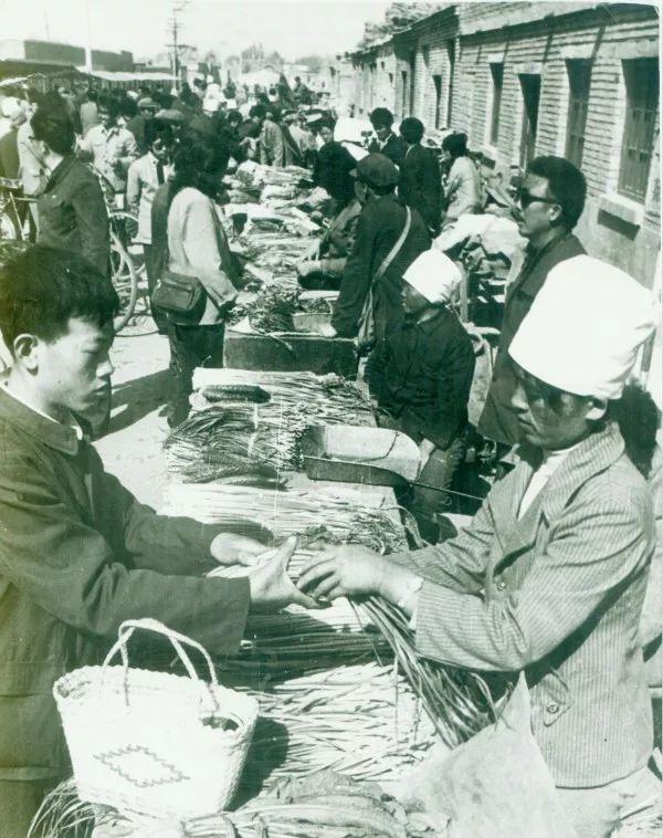 乌海暖阳时光,探寻乌海的美好时光