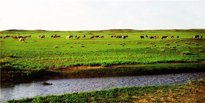 巴彦淖尔奋斗之光，点亮梦想的灯塔致敬！